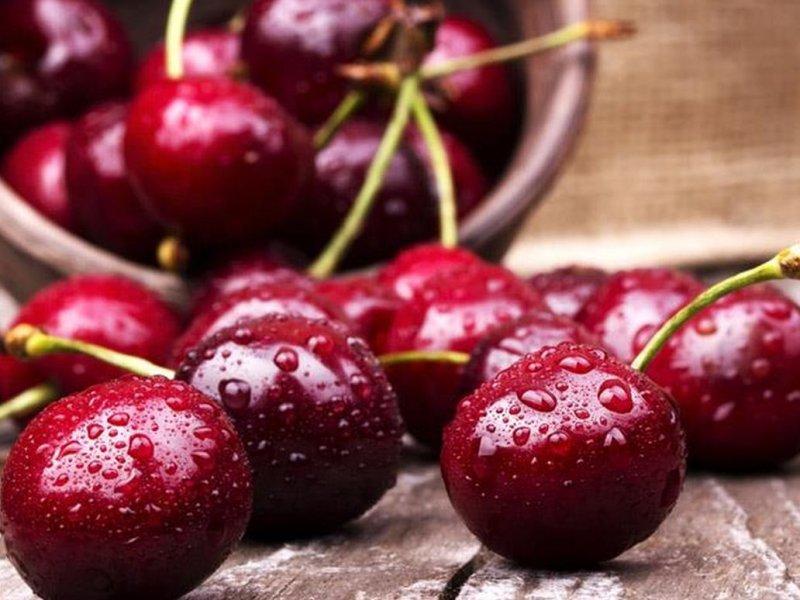 Вишня купить саженцы из питомника в Дзержинске